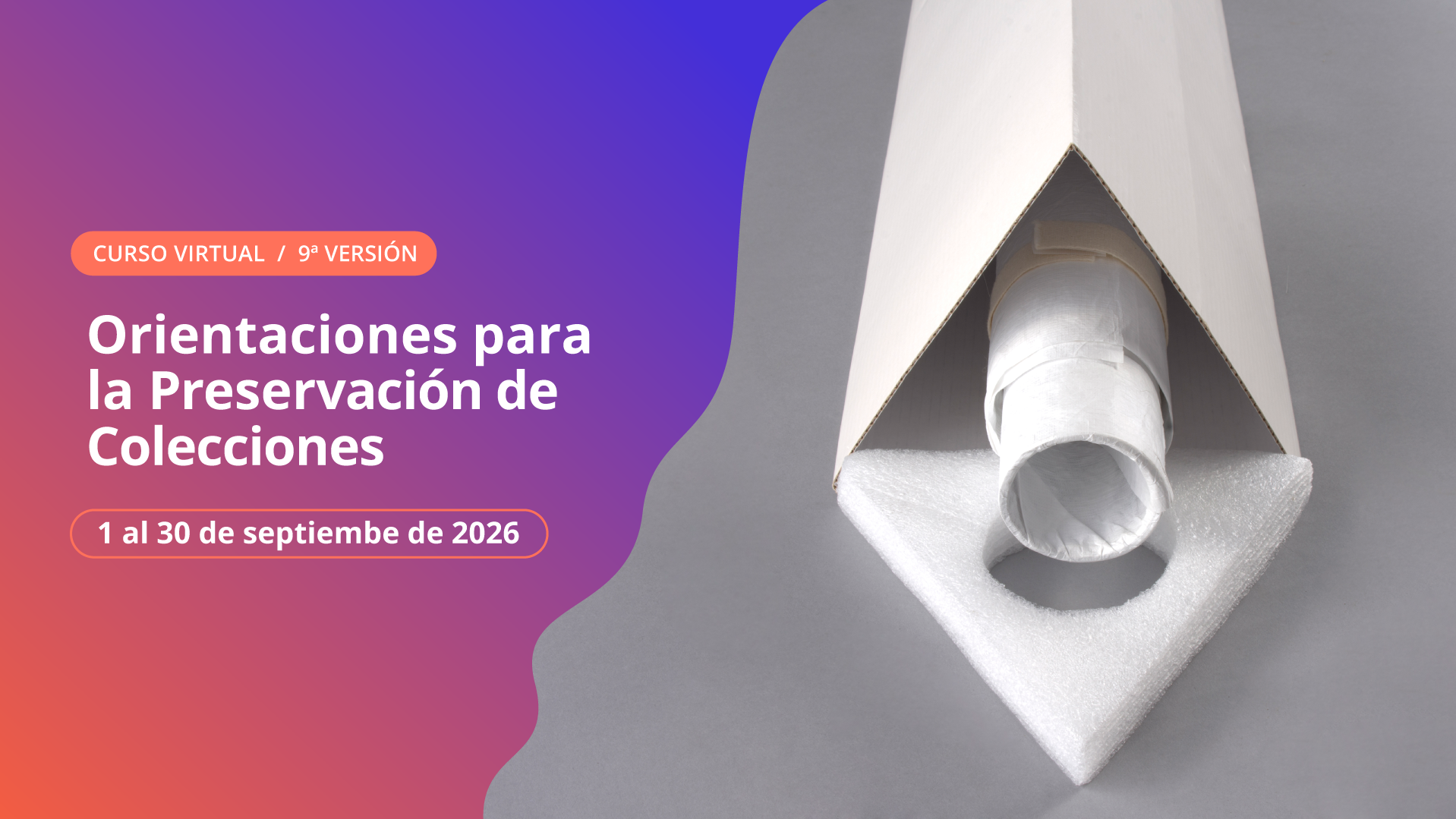 Curso Orientaciones para la preservación de coecciones, 9a. versión