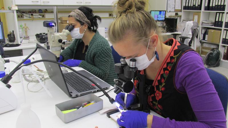 G.Neyra y A. Stabler interviniendo metales arqueológicos. Archivo CNCR (Naranjo, N. 2015) G.Neyra y A. Stabler interviniendo metales arqueológicos. Archivo CNCR( Naranjo, N. 2015)