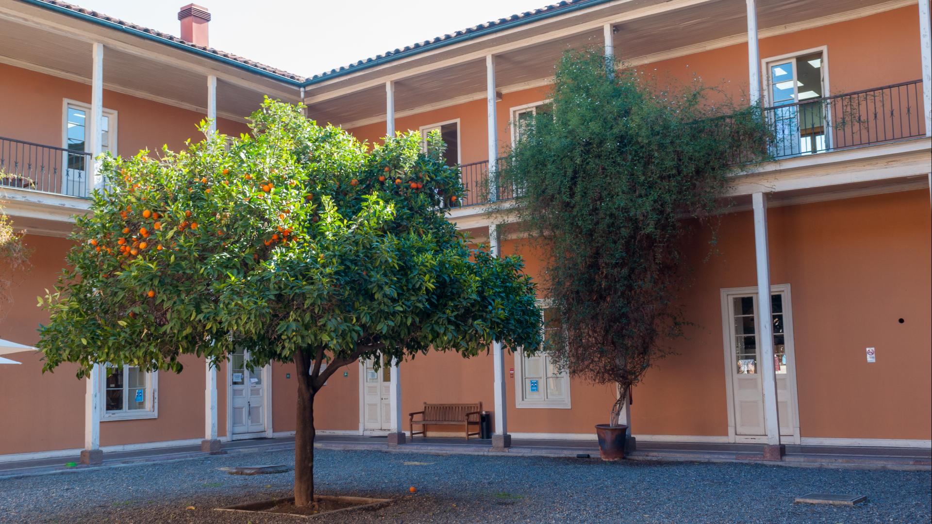 Patio del Naranjo, CNCR.