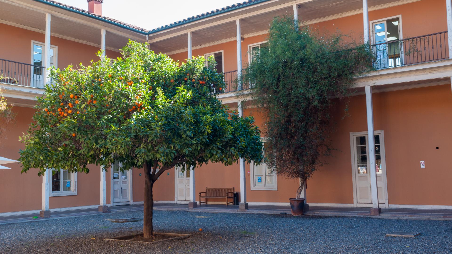 Patio del CNCR