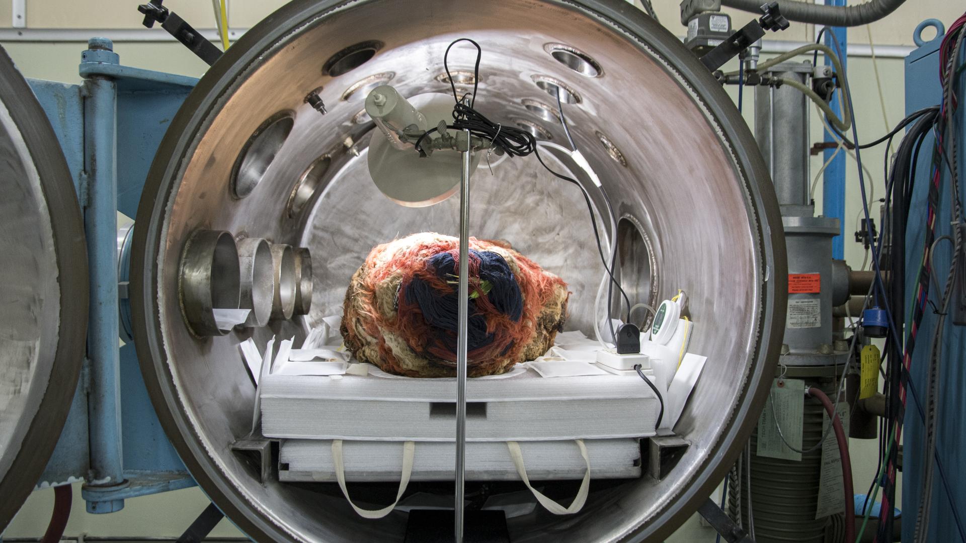 Vista frontal de cuerpo momificado Topater al interior de la cámara multipropósito antes del inicio del tratamiento. Se observa la bandeja receptora con sistema de ventilación cruzada y la incorporación de sobres GasPak™ (Fotografía: Ormeño, L. 2023).