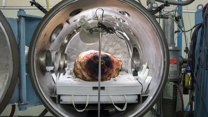Vista frontal de cuerpo momificado Topater al interior de la cámara multipropósito antes del inicio del tratamiento. Se observa la bandeja receptora con sistema de ventilación cruzada y la incorporación de sobres GasPak™ (Fotografía: Ormeño, L. 2023).