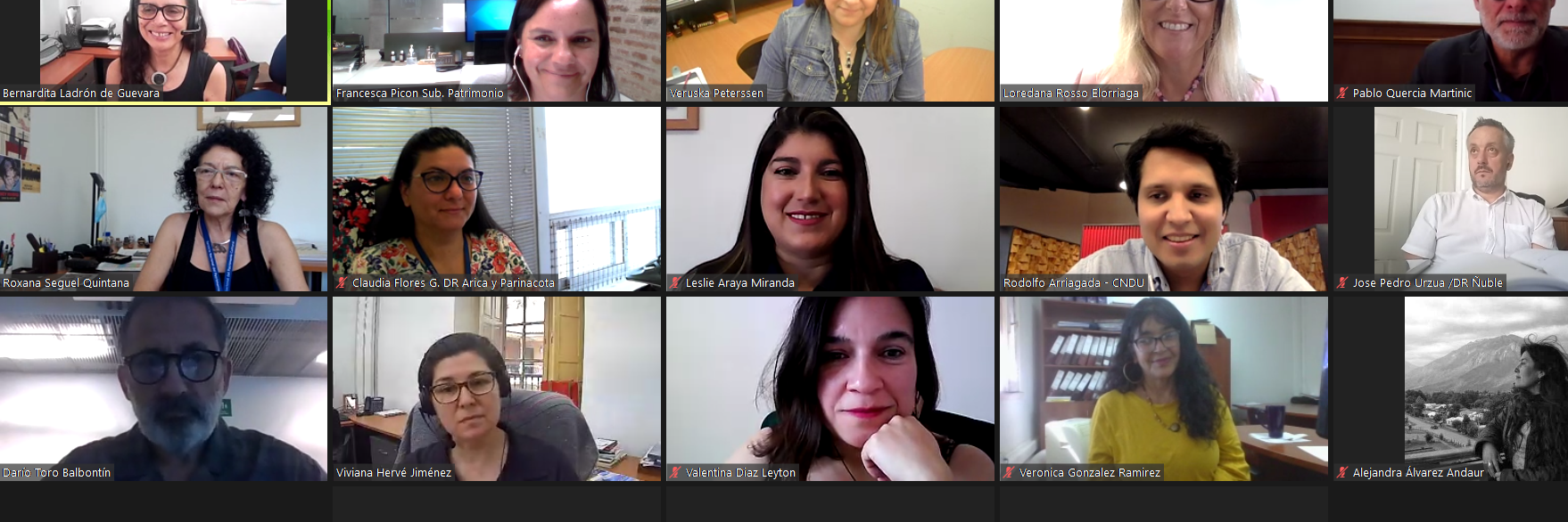 Panelistas, directoras y directores regionales Serpat