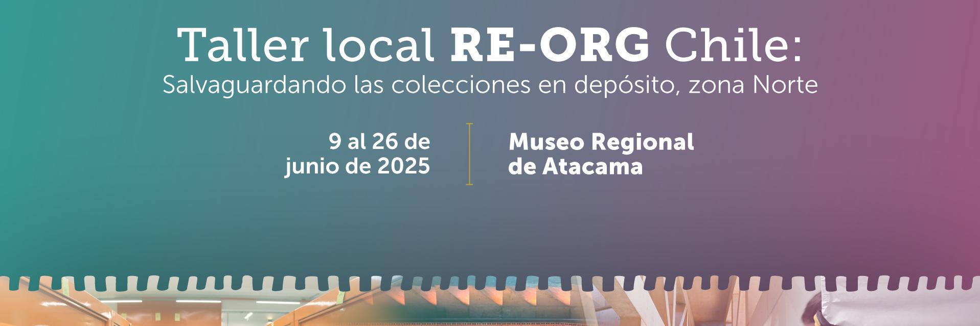Afiche Taller Local RE-ORG 2025