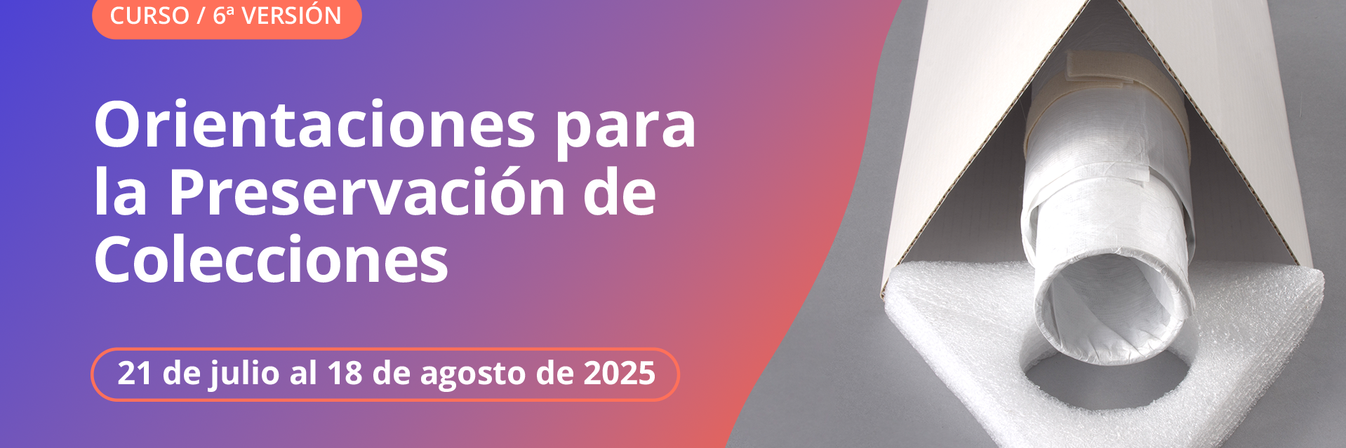 Curso preservación