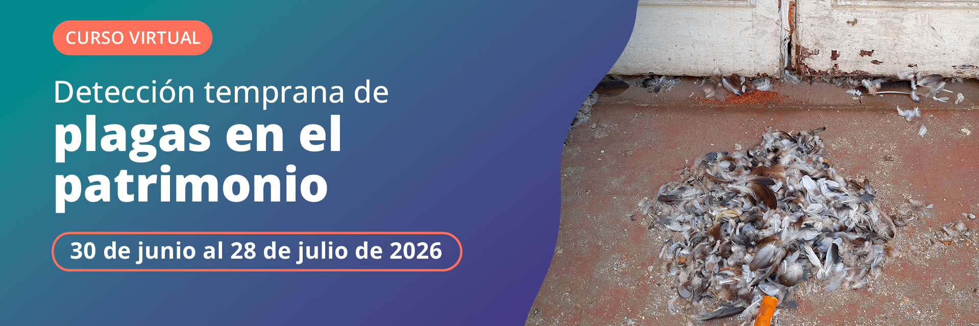 Afiche curso