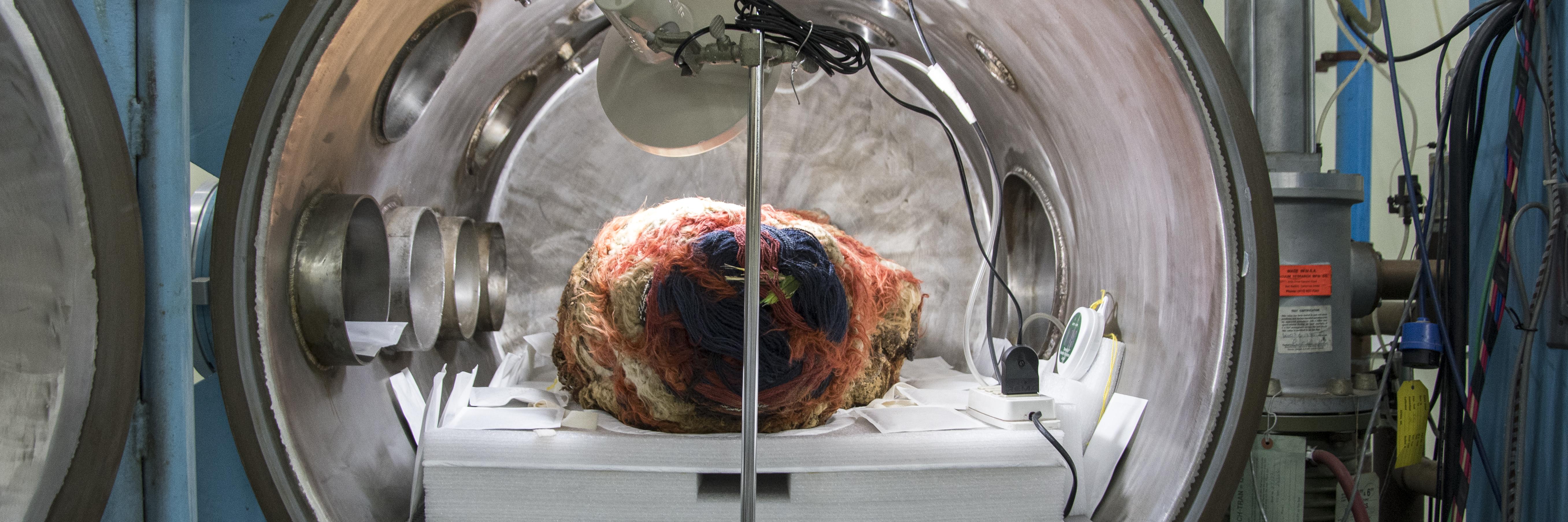 Vista frontal de cuerpo momificado Topater al interior de la cámara multipropósito antes del inicio del tratamiento. Se observa la bandeja receptora con sistema de ventilación cruzada y la incorporación de sobres GasPak™ (Fotografía: Ormeño, L. 2023).