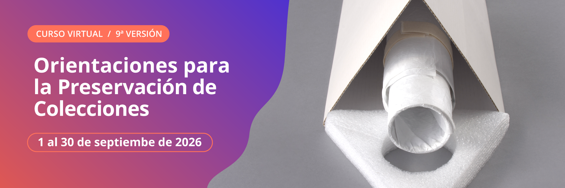 Curso Orientaciones para la preservación de colecciones, 9a. versión