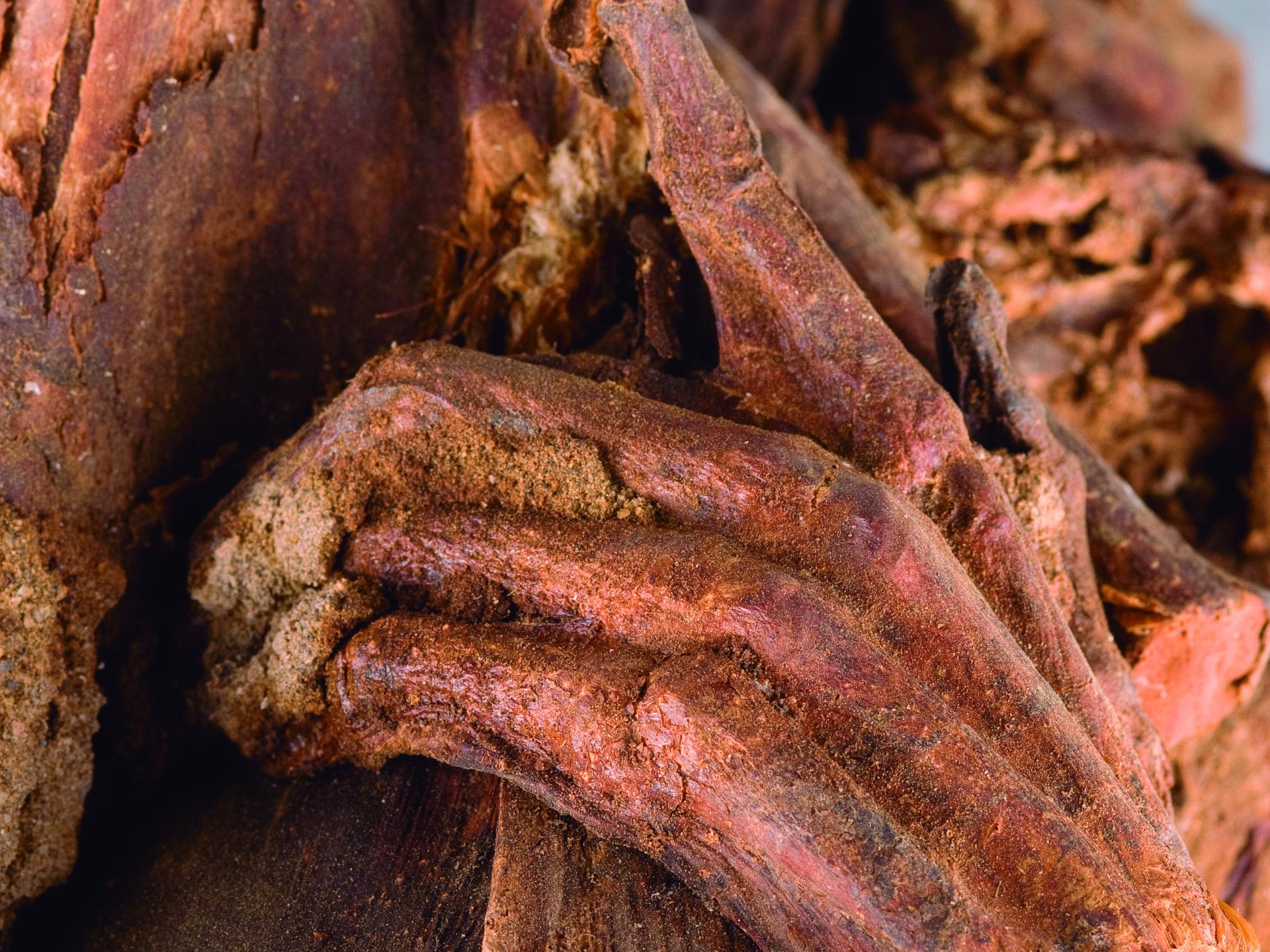 Detalle de cuerpo momificado (Archivo CNCR).