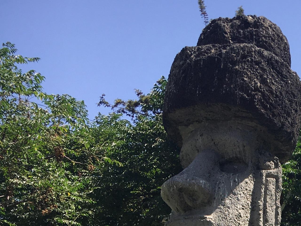 Registro en terreno de Los Monumentos Públicos en eje Alameda.