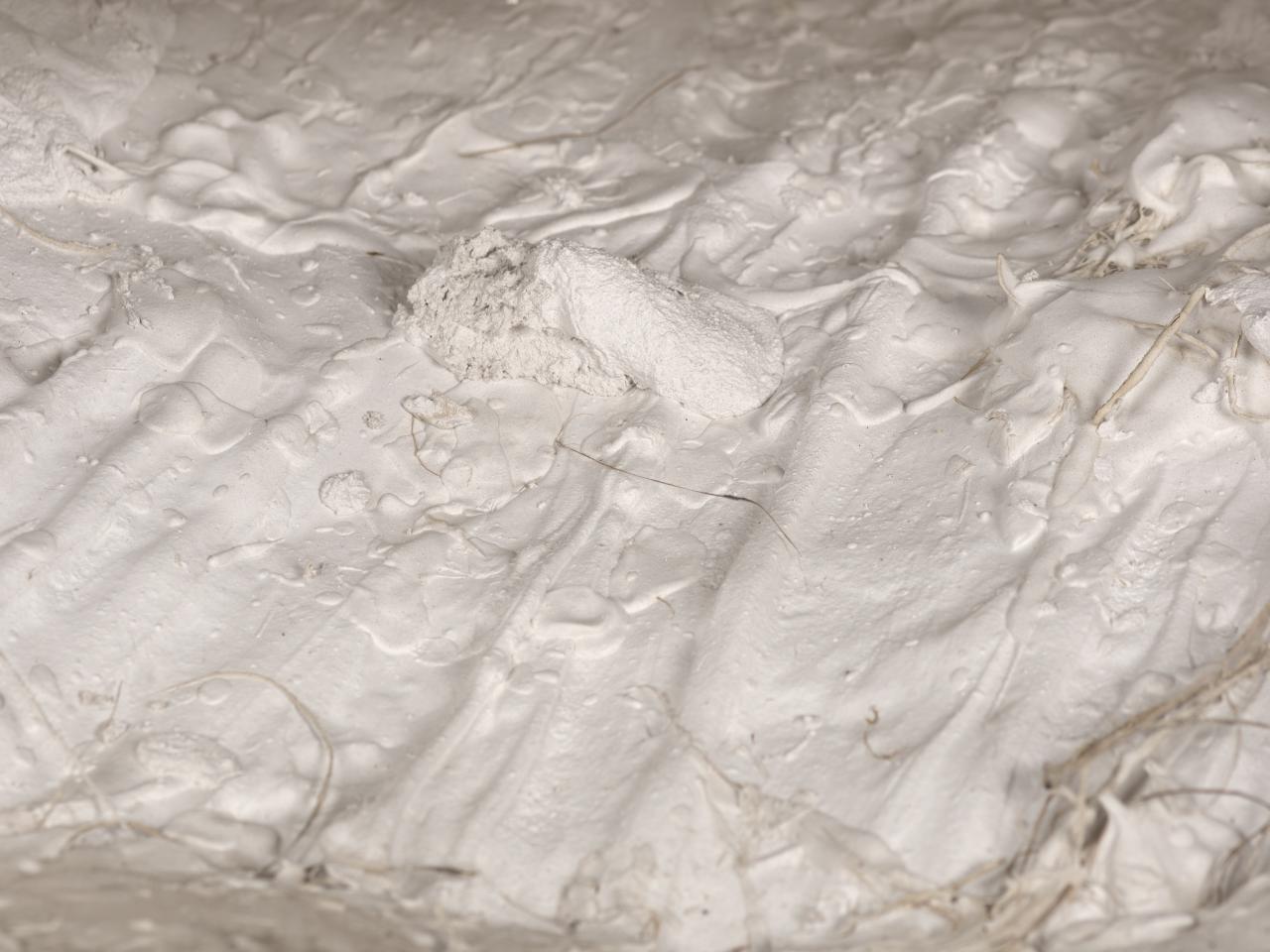 Detalle del vaciado del busto. Posibles marcas de los dedos de la artista al retirar el material sobrante