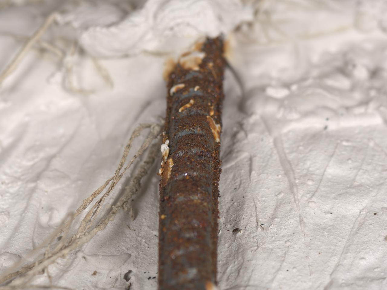 Corrosión de metales al interior del busto