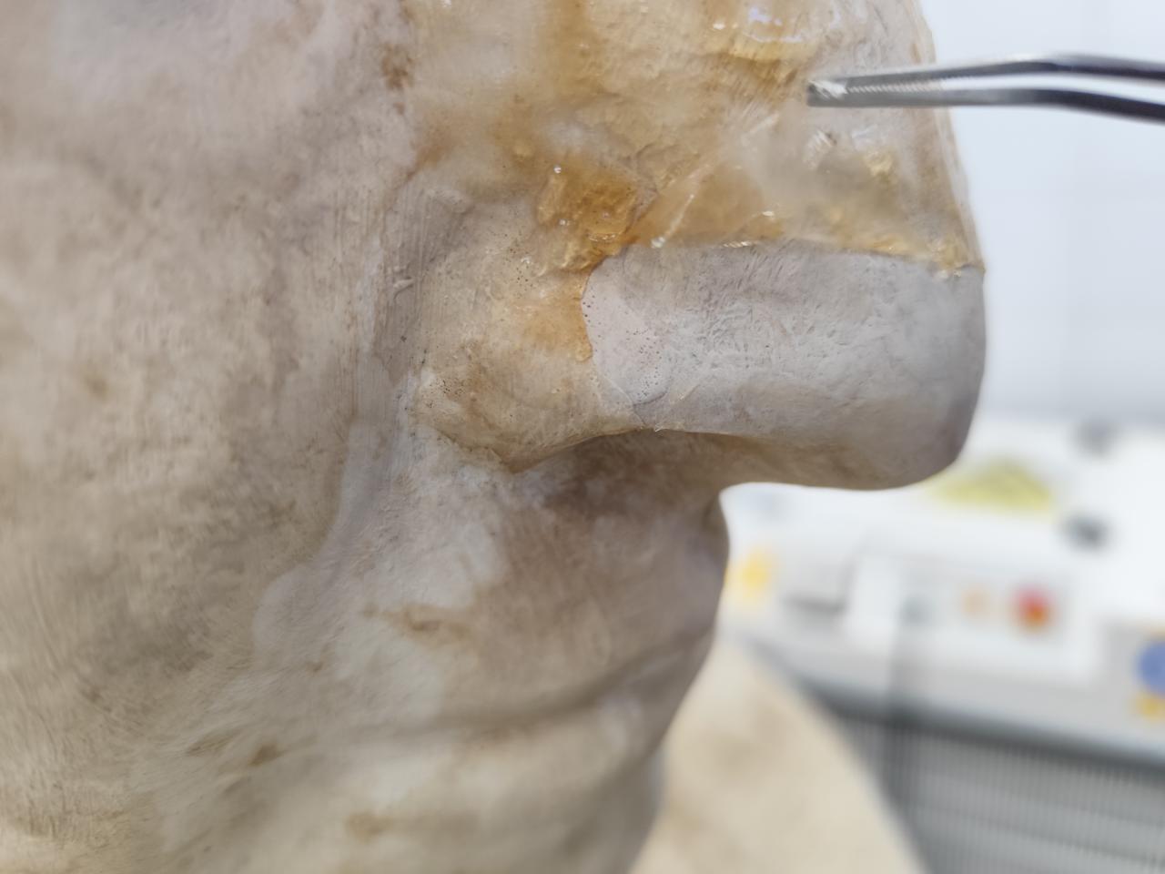 Proceso de limpieza con gel de agar-agar