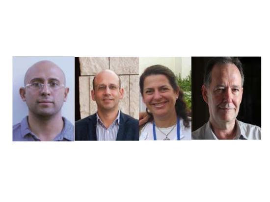 Gestión de riesgo