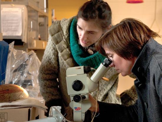 Microscopía