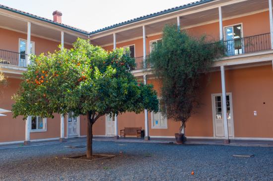 Patio del Naranjo CNCR