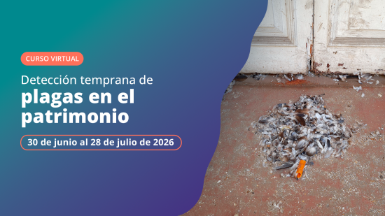 Afiche curso