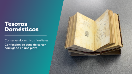 Tesoros Domésticos nro.6