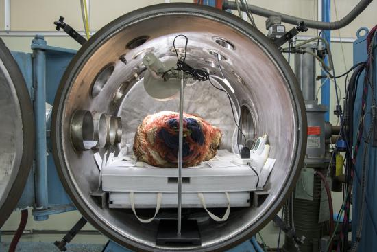 Vista frontal de cuerpo momificado Topater al interior de la cámara multipropósito antes del inicio del tratamiento. Se observa la bandeja receptora con sistema de ventilación cruzada y la incorporación de sobres GasPak™ (Fotografía: Ormeño, L. 2023).