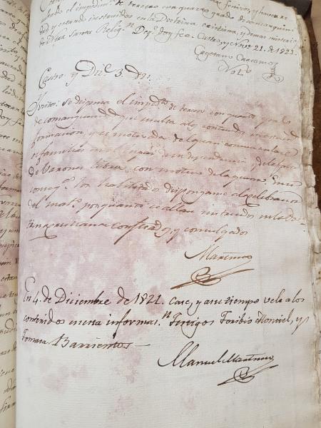 Detalle de hoja con alteraciones producidas por hongos. Detalle de hoja con alteraciones producidas por hongos.