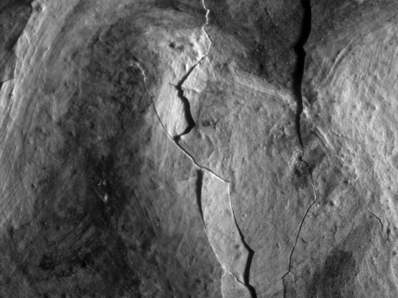 Detalle de grieta y fisura, fotografía digital infraroja. Correa, C. 2012