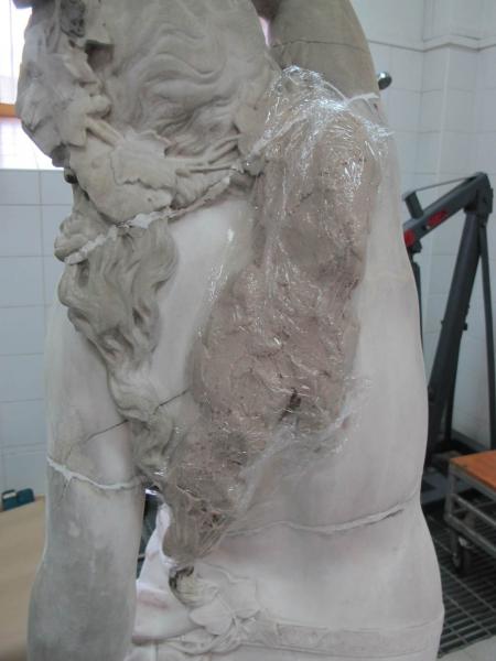 Bacante,Archivo CNCR, Neyra, G. 2013