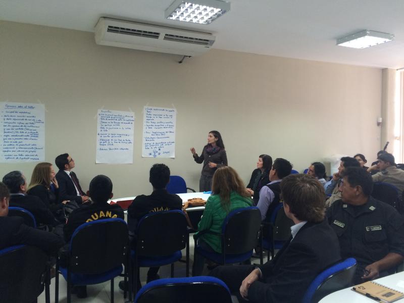 Daniela Bracchitta exponiendo en el III Taller Binacional Perú- Chile.