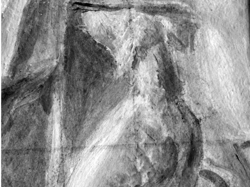 Detalle de perro, fotografía digital infrarroja  Correa, C. 2012