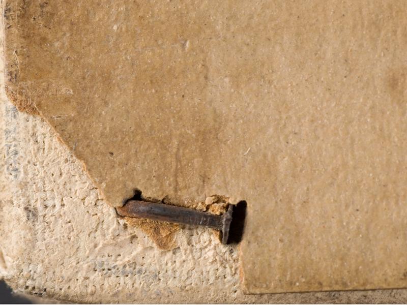 Primer plano de tachuela. Rivas, V. 2012