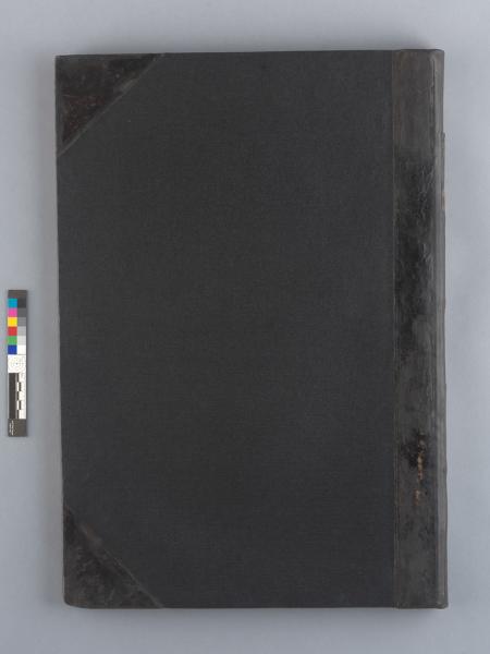 Tapa posterior frontal después del tratamiento