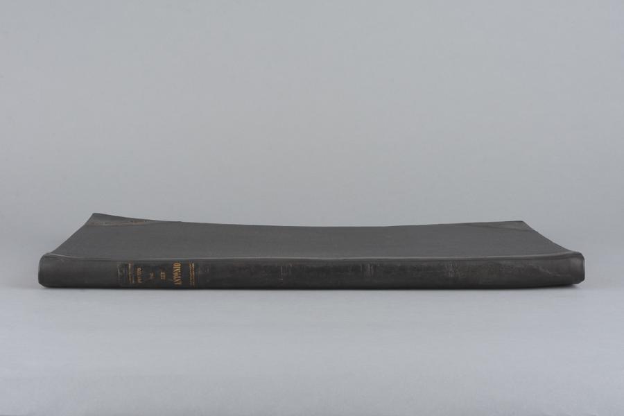 Lomo escorzo después del tratamiento