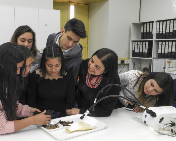 Visita al Laboratorio de Arqueología