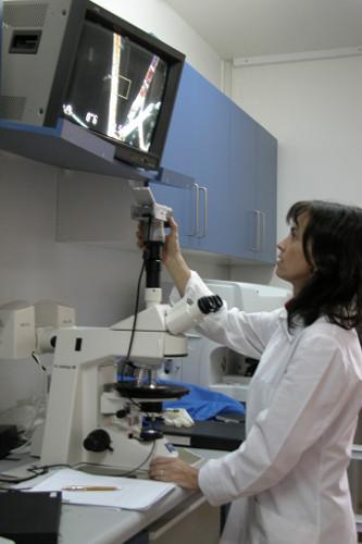 Registro de intervención