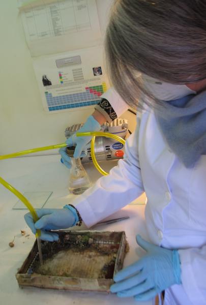 Procedimiento de limpieza