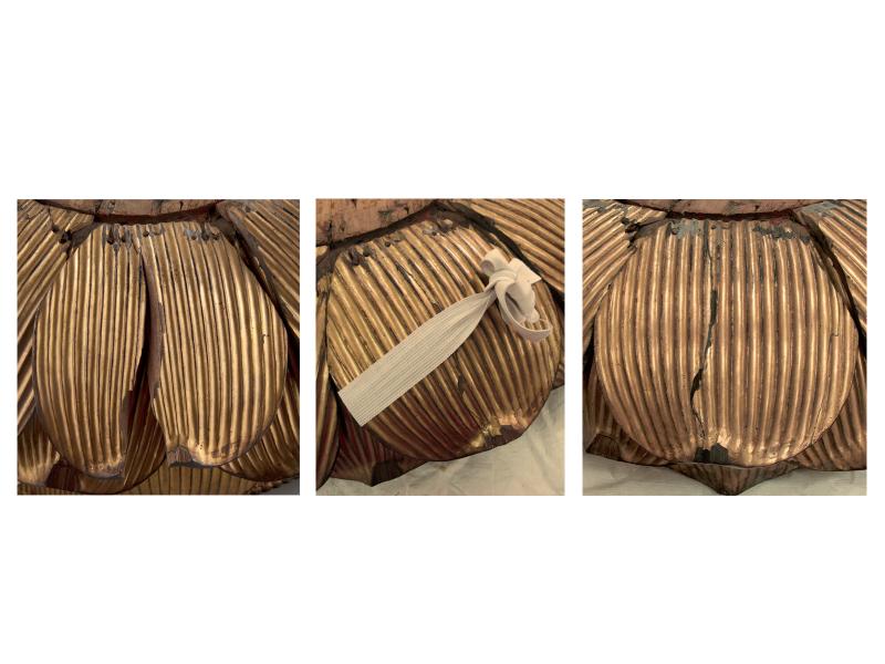 Unión de pétalo de la flor de loto