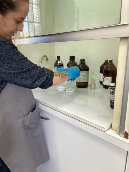 Reactivo en muestras de papel