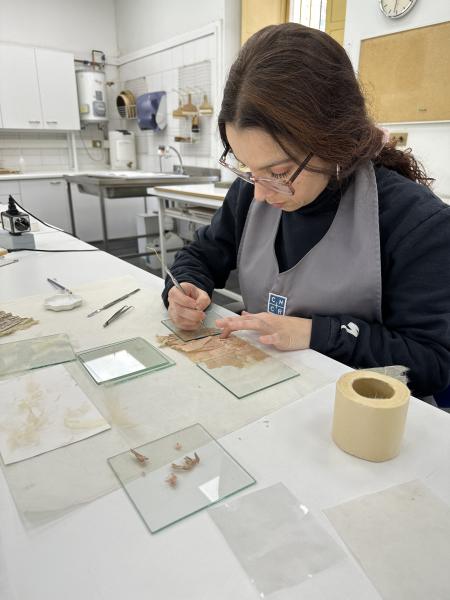 Tratamiento de unión de rasgado a correspondencia