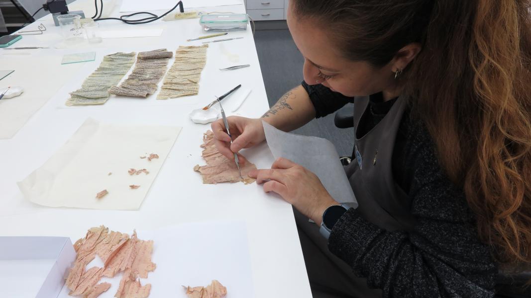 Tratamiento de unión de rasgado