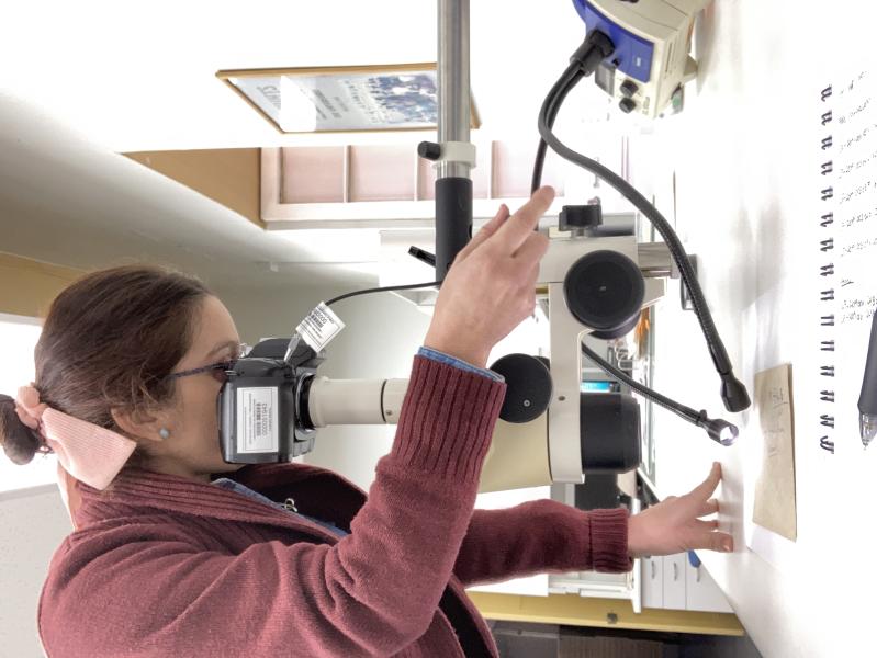 Uso de lupa binocular para detectar alteraciones