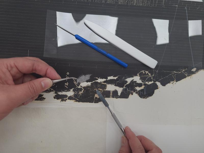 Figura 42. Proceso de elaboración de injerto de papel japonés sobre faltante (Fotografía: Pinilla Rodríguez, O. 2021. Archivo CNCR. UPGD901.44) upgd901.44.jpg