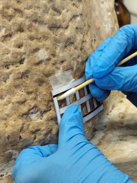 Pruebas de limpieza acuosa