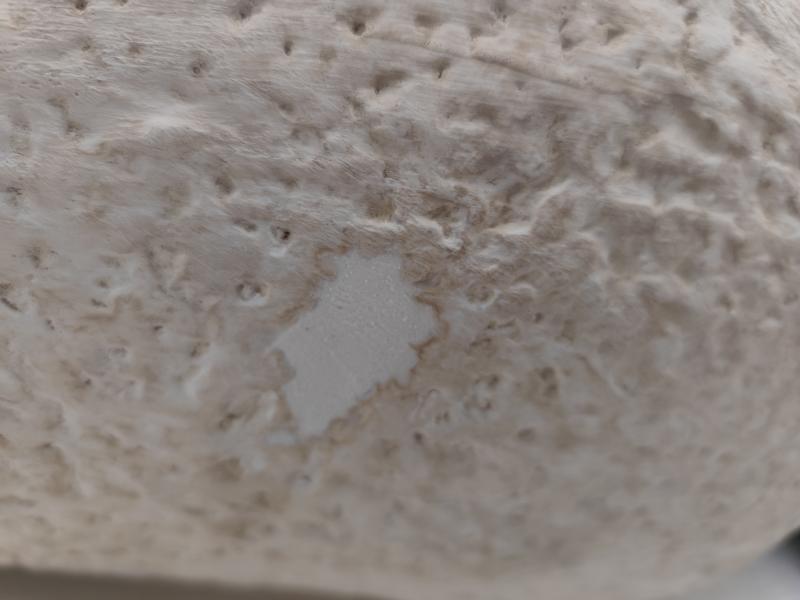 Reintegración volumétrica de faltantes